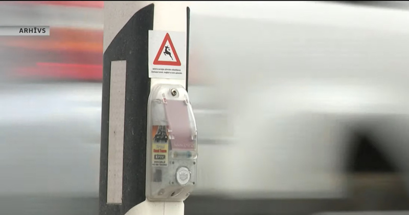 Meža dzīvnieku atbaidītāju eksperiments uz Ventspils šosejas piedzīvo fiasko