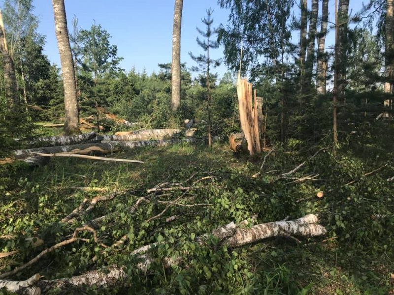 Sestdien Latviju skars vētra, vējš būs postošākais kopš decembra