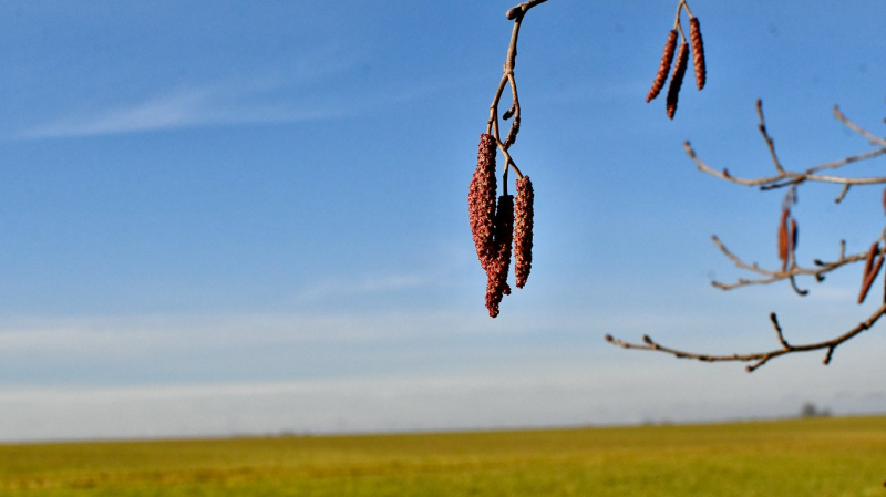 Piektdien Latvijā gaidāmi siltuma rekordi