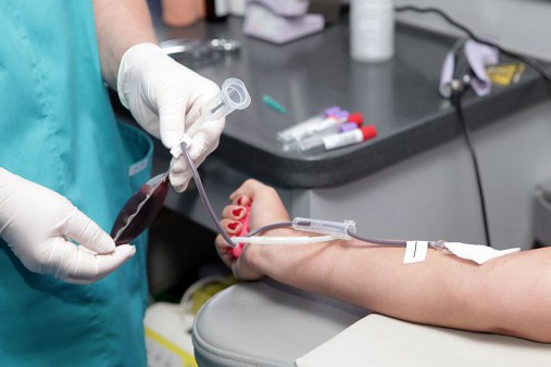 Asinsdonoru skaits Latvijā sarucis uz pusi