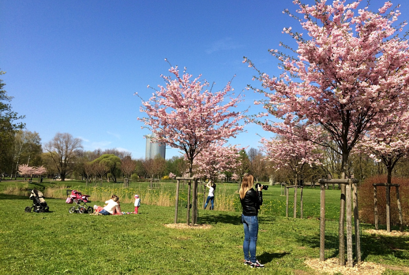 Brīvdienās lēni kļūs siltāks; nākamnedēļ temperatūra virs 20 grādiem