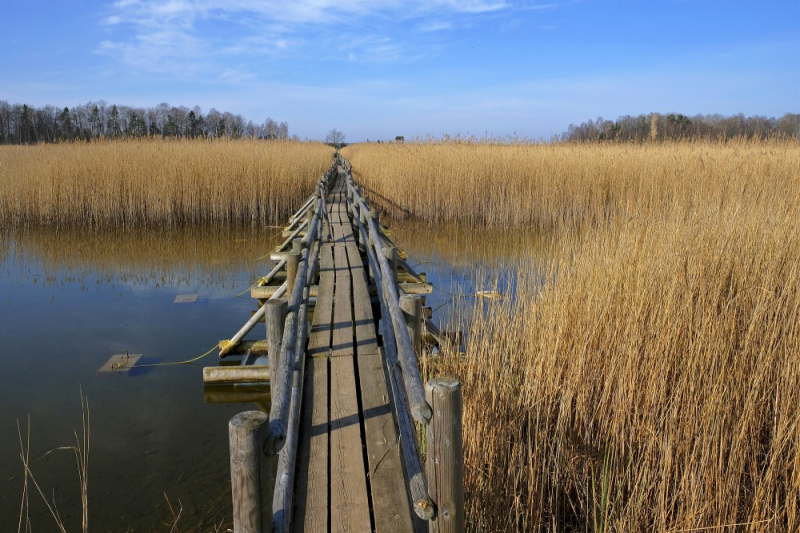 Kaņiera ezerā noteikts sezonas liegums