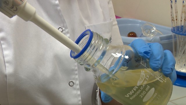 Latvijā veido biomateriālu, kas atjaunos audus un ļaus izvairīties no antiobiotiku lietošanas