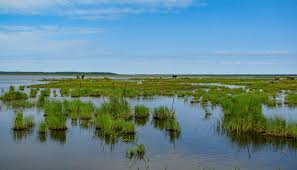 Traģēdija Engures ezerā: apgāžoties laivai, bojā gājis makšķernieks