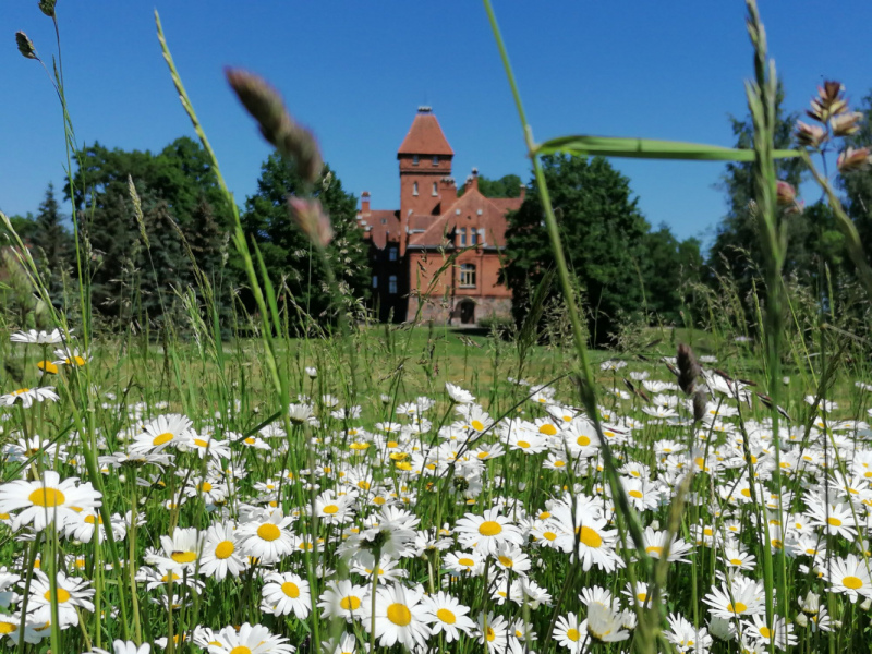 Vasaras saulgriežos aicina uz Ģimeņu dienu Jaunmoku pilī