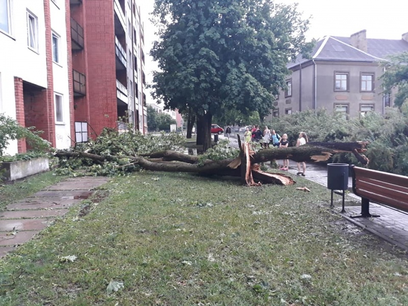 Piektdien būs bīstami laika apstākļi; iedzīvotājus aicina neiet uz parkiem un mežiem Piektdien būs bīstami laika apstākļi; iedzīvotājus aicina neiet uz parkiem un mežiem
