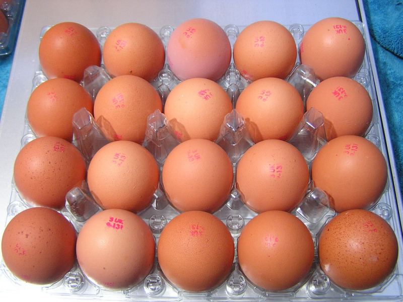 "Gallusman" nespēja izveidot olu ražotni Tukumā, Valkā un Ogrē, tagad centīsies savus plānus realizēt Krustpils novadā "Gallusman" nespēja izveidot olu ražotni Tukumā, Valkā un Ogrē, tagad centīsies savus plānus realizēt Krustpils novadā