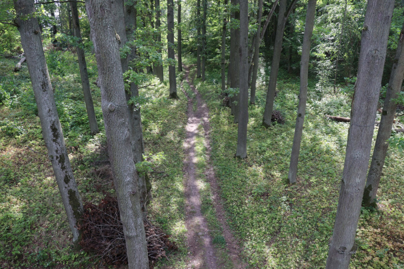 Durbes parkā atrastā sieviete, iespējams, izdarījusi pašnāvību Durbes parkā atrastā sieviete, iespējams, izdarījusi pašnāvību